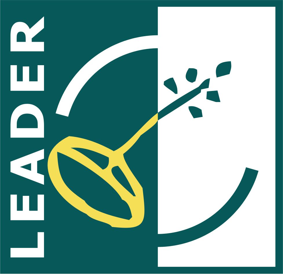 Leader